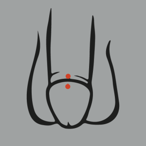 Mann piercing intim Category:Male genital